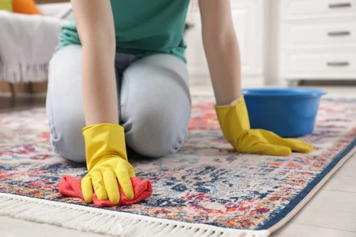 Carpet cleaning service in progress